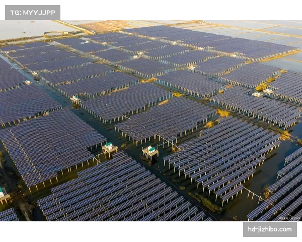 应对气候变化的可持续举措：多支球队主场馆完成太阳能板铺设。